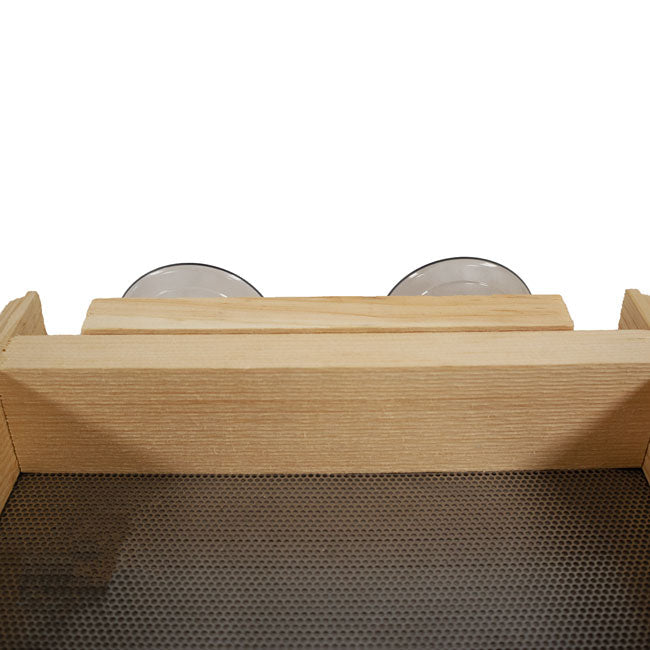 Pine Window Bird Feeder with Suction Cups