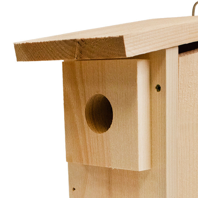 4-Pack Western Bluebird House DIY Kits
