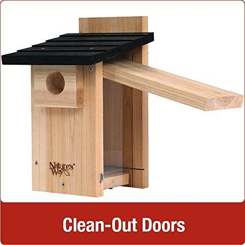 Cedar Bluebird Viewing House