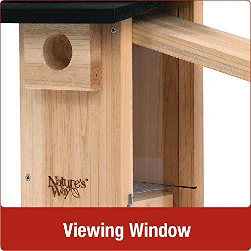 Cedar Bluebird Viewing House