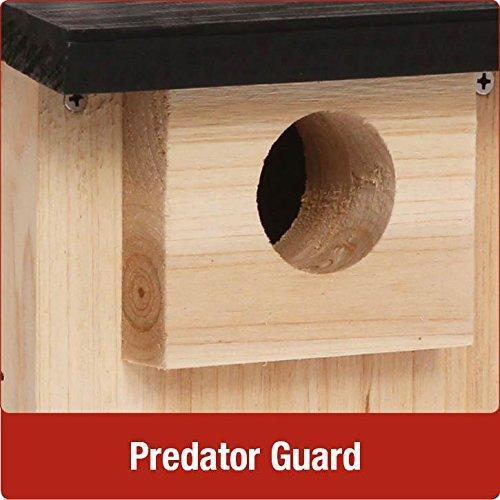 Cedar Bluebird Viewing House