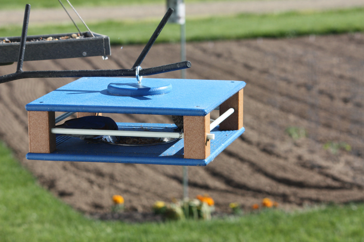 Gilbertson Bluebird Buffet Mealworm Feeder – 3 Colorways