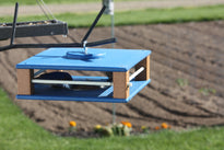 Gilbertson Bluebird Buffet Mealworm Feeder – 3 Colorways