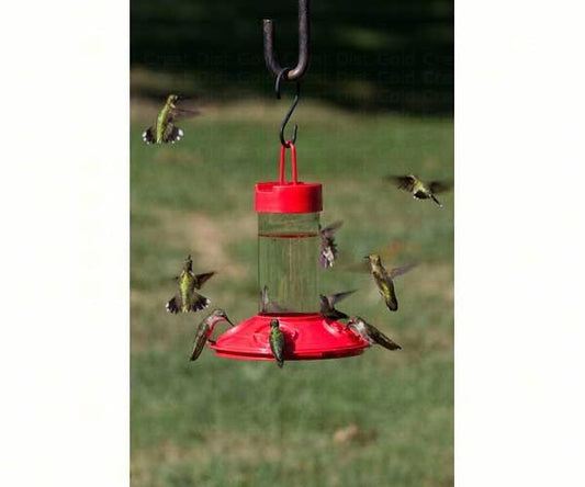 Dr JBs 16oz Clean Feeder All Red