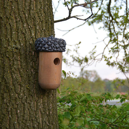 Acorn-Shaped Pine Birdhouse for Wrens & Chickadees