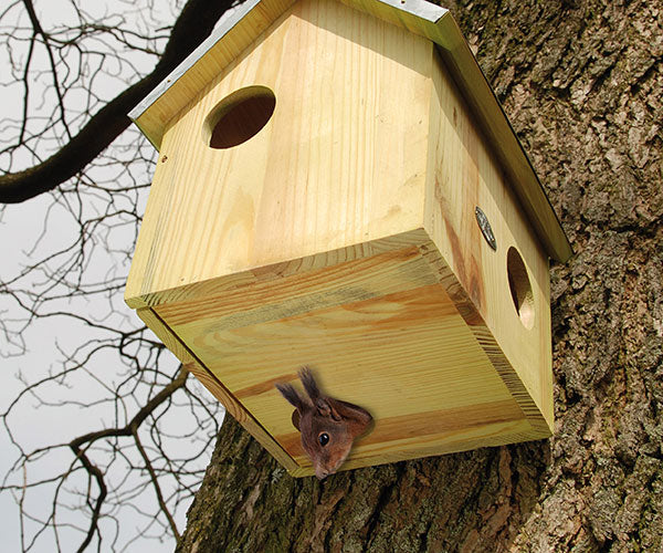 Green Wooden Squirrel Nesting House with 3 Entrances