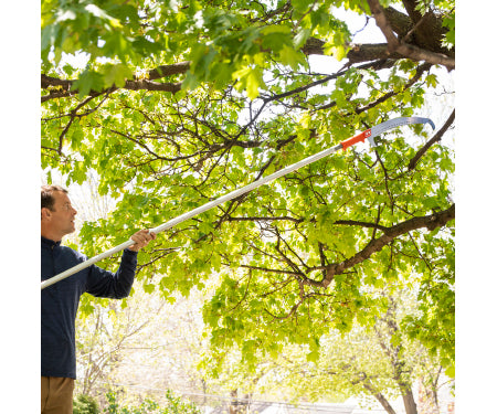 EZ Smart Pruning Saw With 16' Pole
