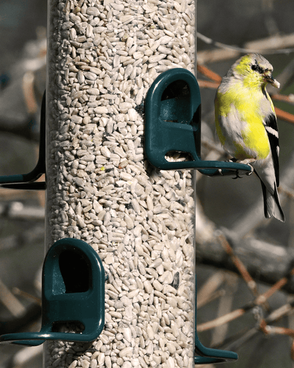 Tube 200 6-Port Bird Feeder with Swivel Hanger additional product image