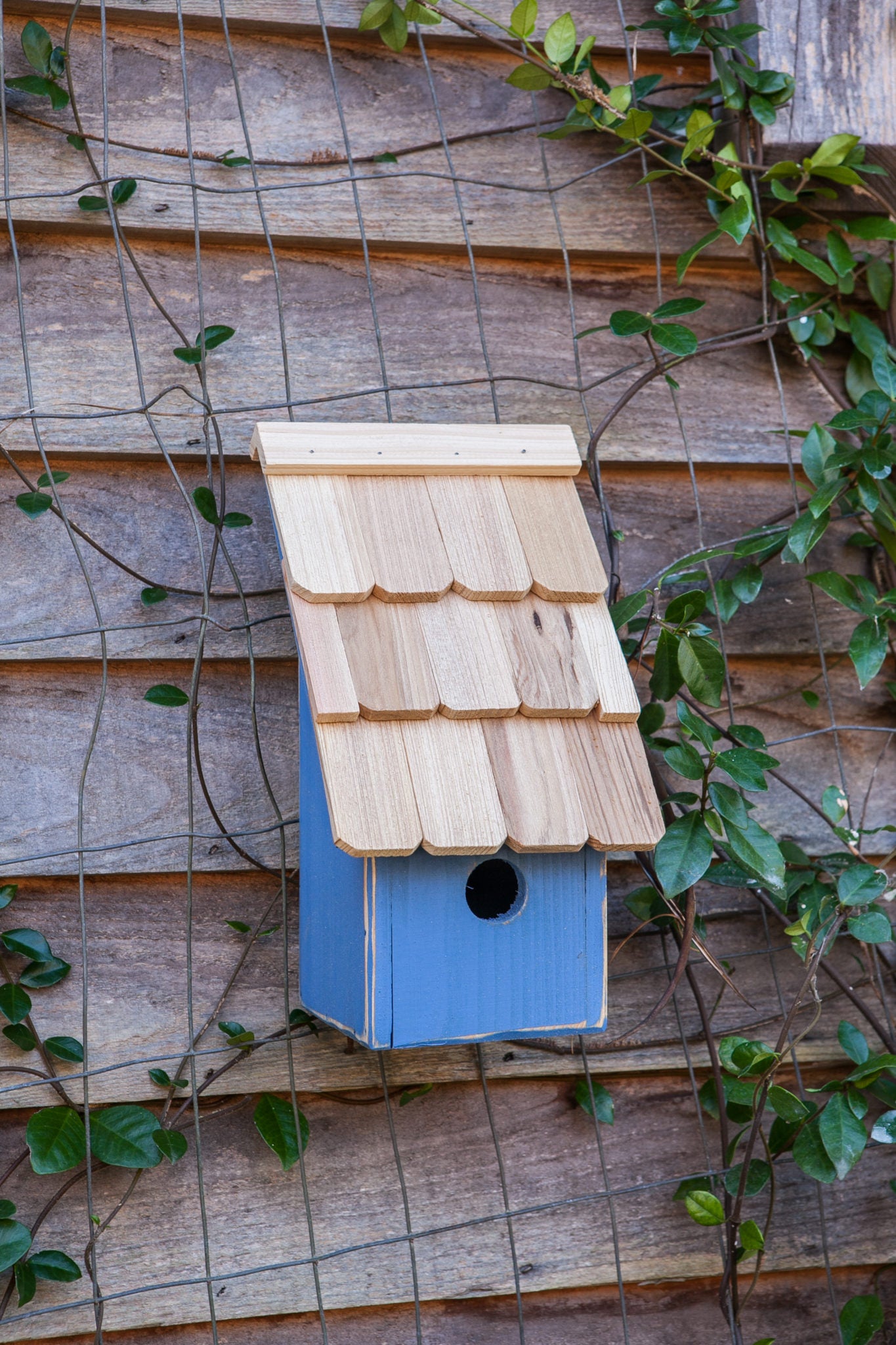 Heartwood Fruit Coops Birdhouse, Blueberry