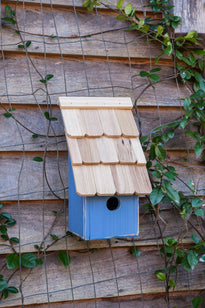 Heartwood Fruit Coops Birdhouse, Blueberry