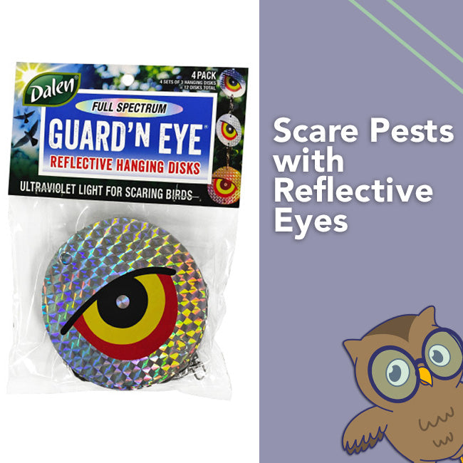 Reflective Bird & Pest Deterrent Hanging Discs – 12 Pack