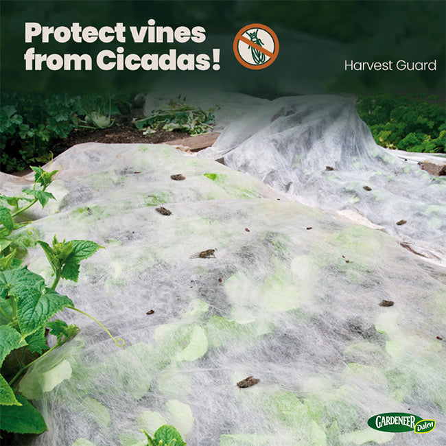 5 x 25 Foot Frost & Seedling Garden Cover
