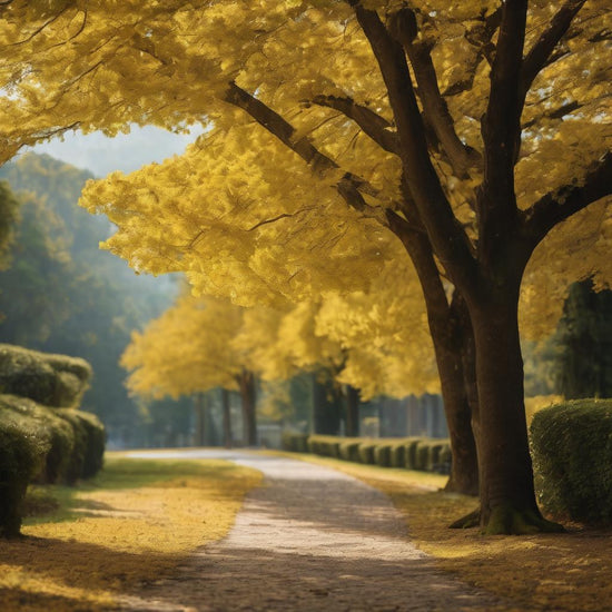 Ginkgo Tree
