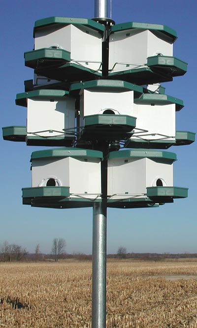4-Room Modular Purple Martin House – 1 Level