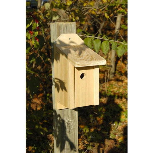 Heartwood Wren Joy Box Birdhouse