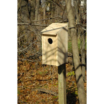 Heartwood Screech Owl Joy Box Birdhouse