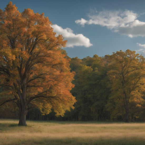 Hickory Tree