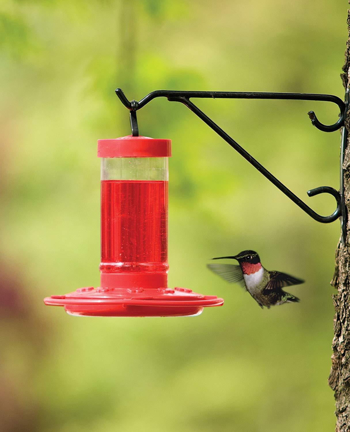 Hummingbird Feeder, 16-Ounce