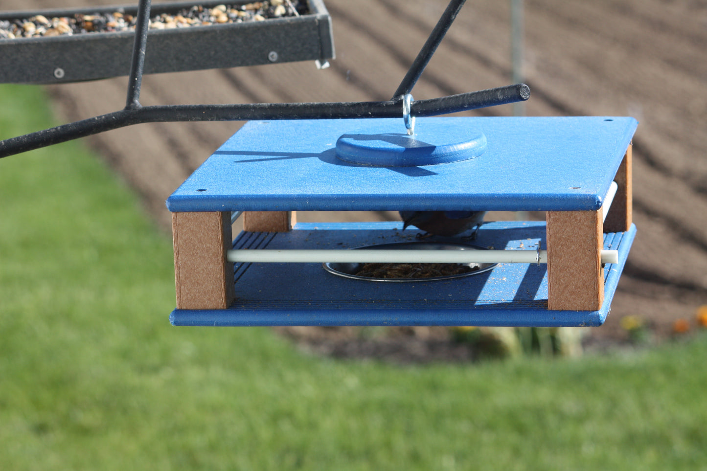 Gilbertson Bluebird Buffet Mealworm Feeder – 3 Colorways