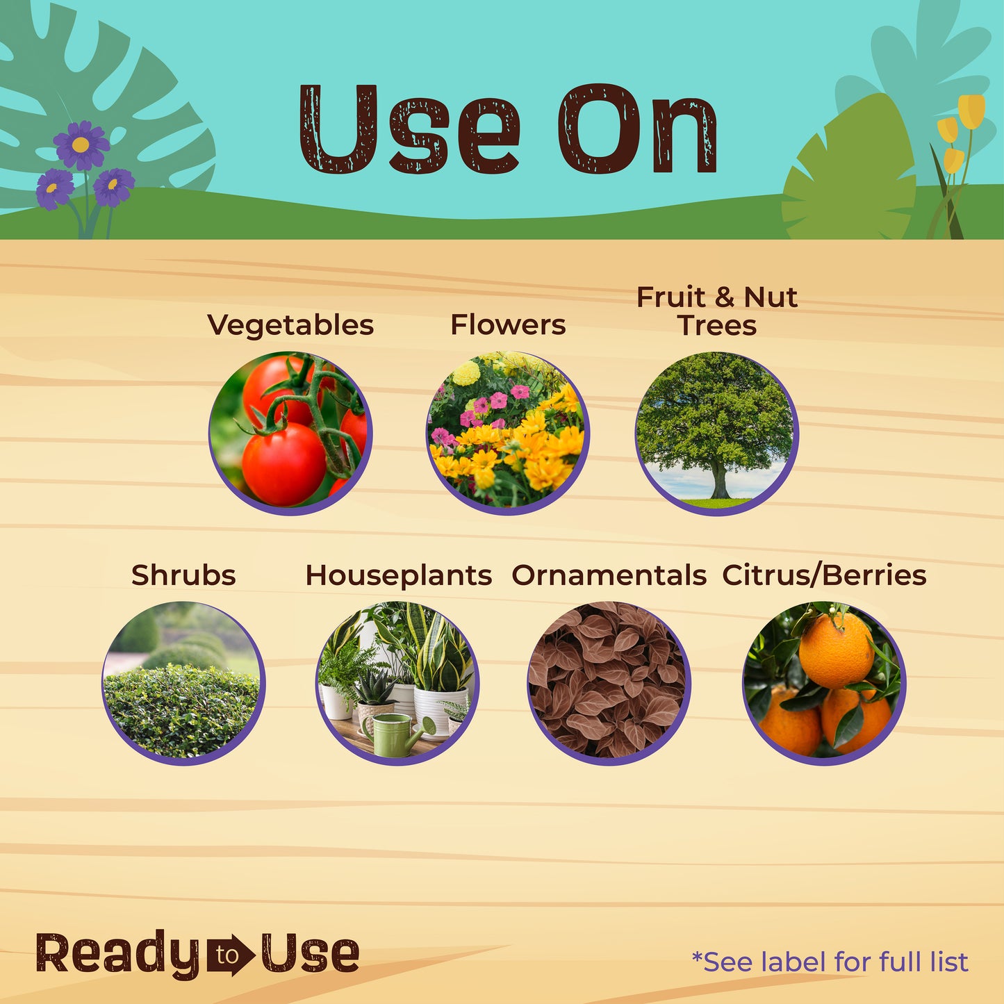 Insecticidal Soap Houseplant Spray Ready-to-Use