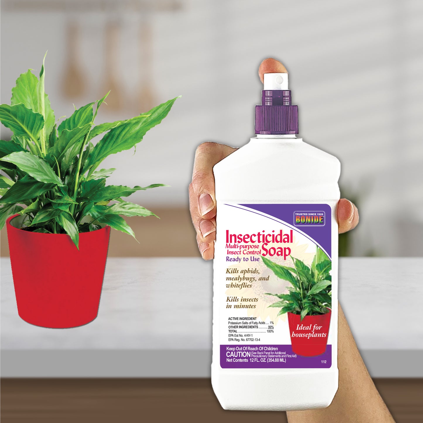 Insecticidal Soap Houseplant Spray Ready-to-Use