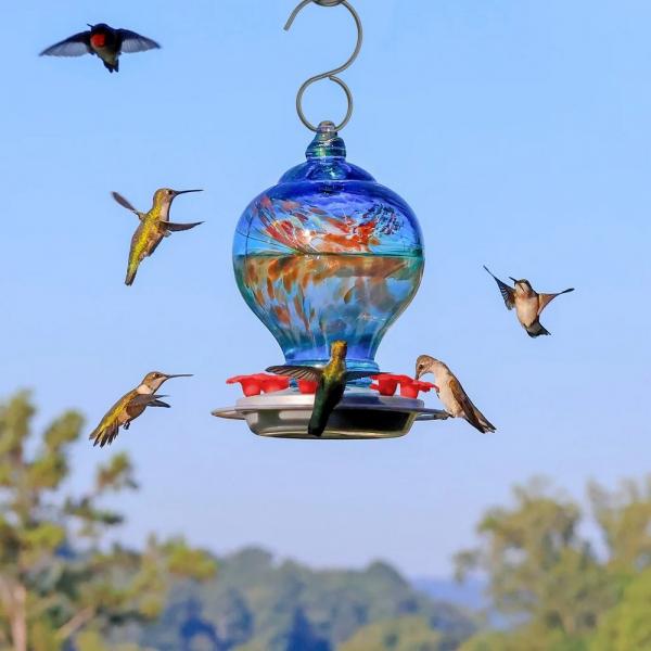 Sunny Day Hand-Blown Glass Hummingbird Feeder – 28 oz
