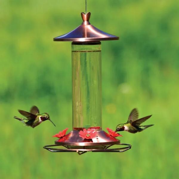 Elegant Copper & Glass Hummingbird Feeder – 12 oz