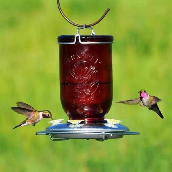 Heritage Red Glass Hummingbird Feeder – 32 oz