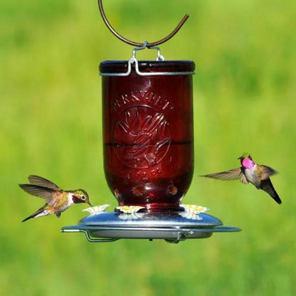 Heritage Red Glass Hummingbird Feeder – 32 oz