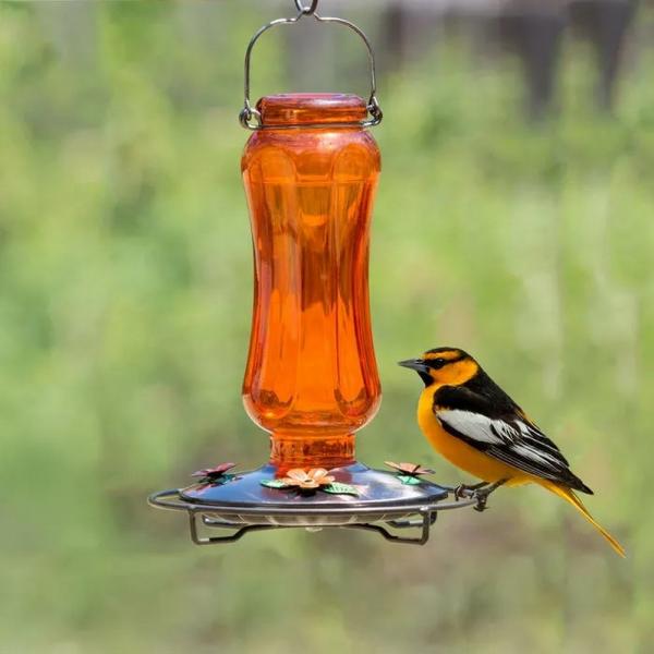 Sunset Glow Glass Oriole Feeder – 18 oz