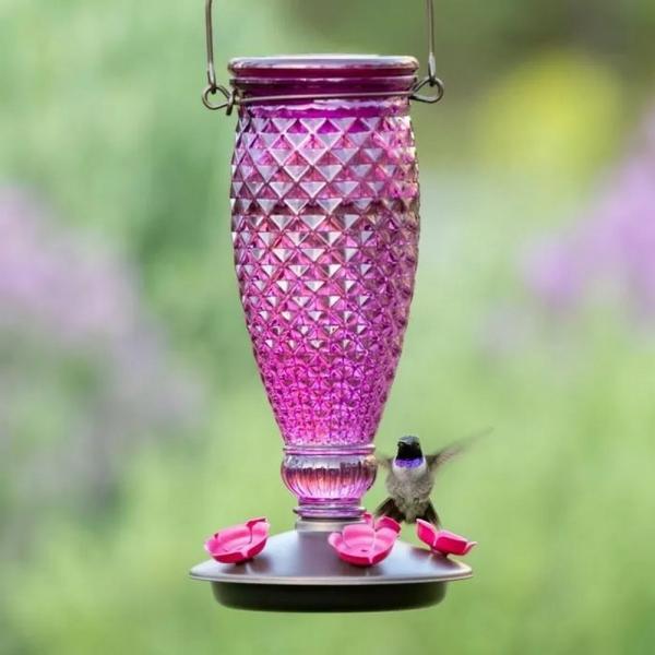 Elegant Top-Fill Glass Hummingbird Feeder – 24 oz