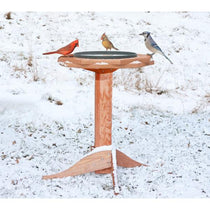 Bird Baths