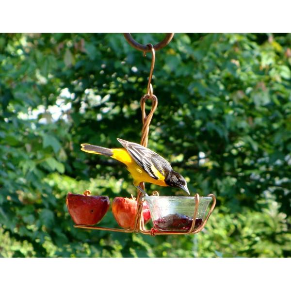Hanging Copper Oriole Fruit & Jelly Station