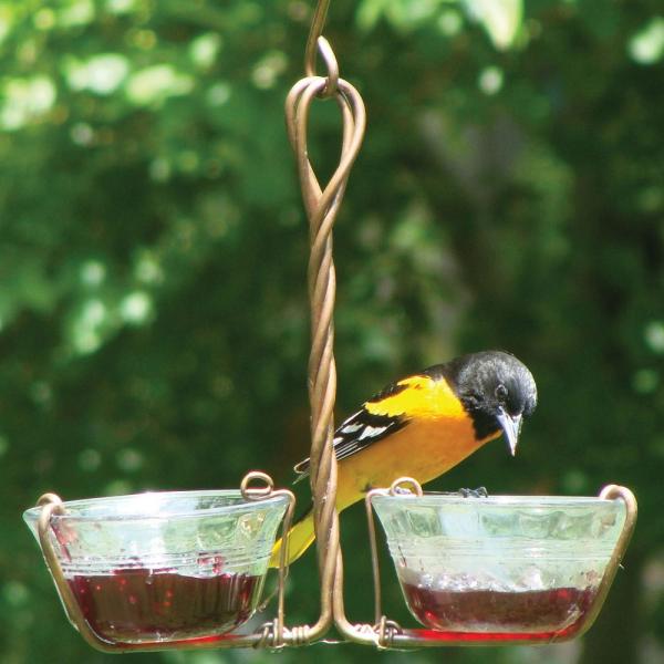 Copper Double-Cup Oriole & Bluebird Feeder