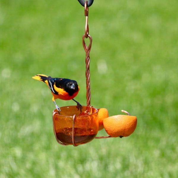 Handcrafted Copper Oriole Fruit & Jelly Feeder