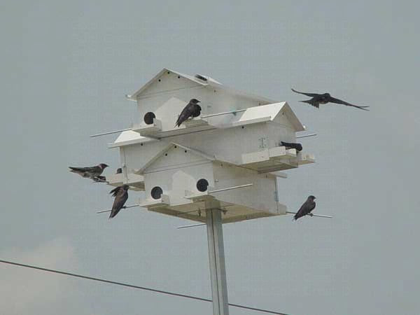 Aluminum Purple Martin House with Round Doors
