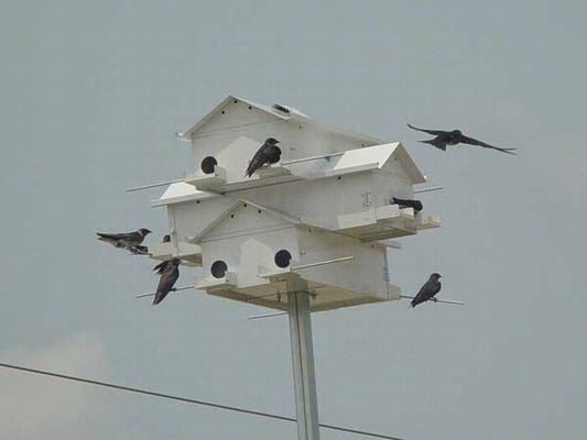 Aluminum Purple Martin House with Round Doors