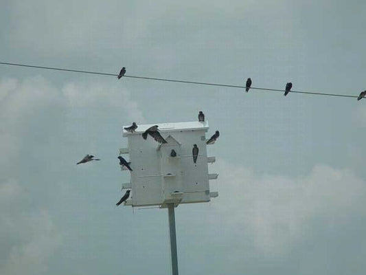 Starling-Resistant Aluminum Purple Martin House