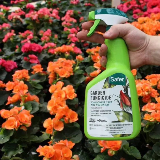 fungus garden spray Safer Garden Fungicide Ready-to-Use Spray, 32oz