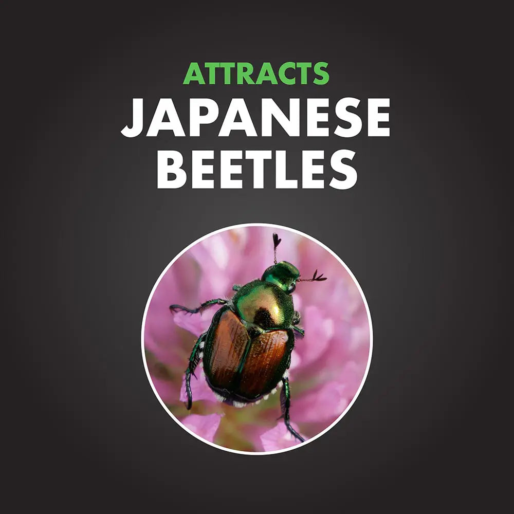 Spectracide Bag-a-Bug Japanese Beetle Trap
