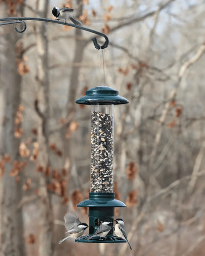 Squirrel Buster Evolution