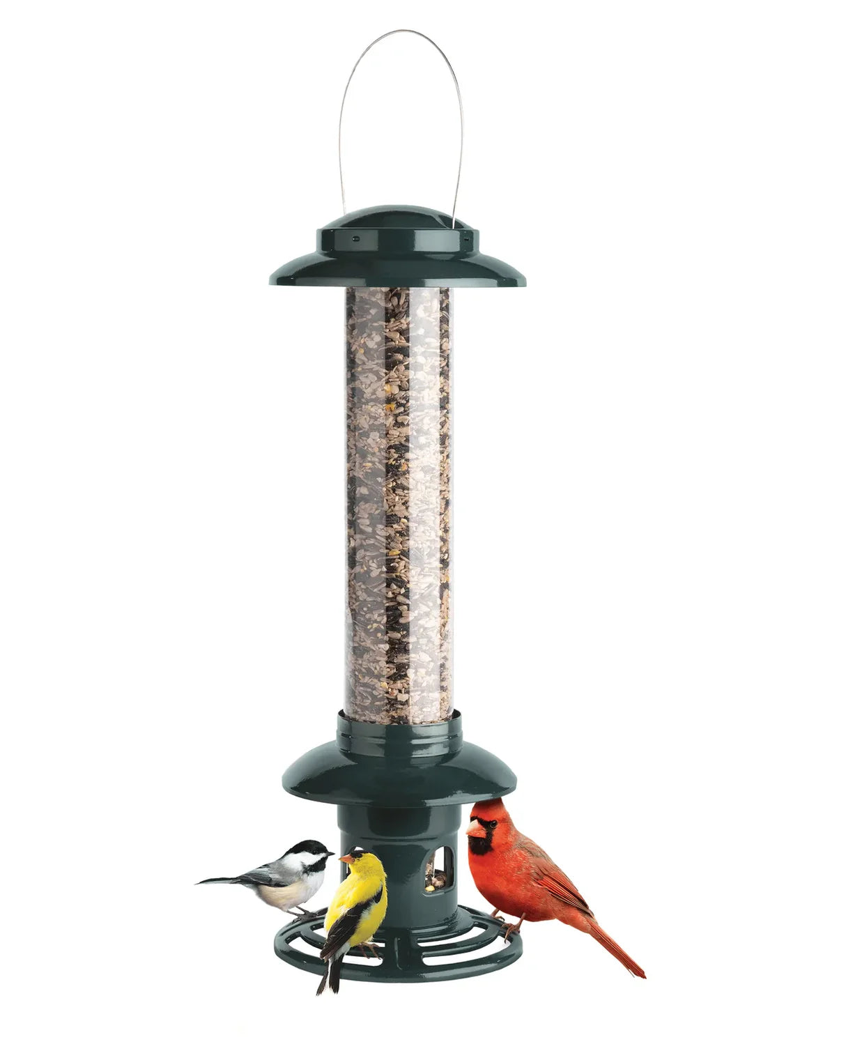 Squirrel Buster Evolution