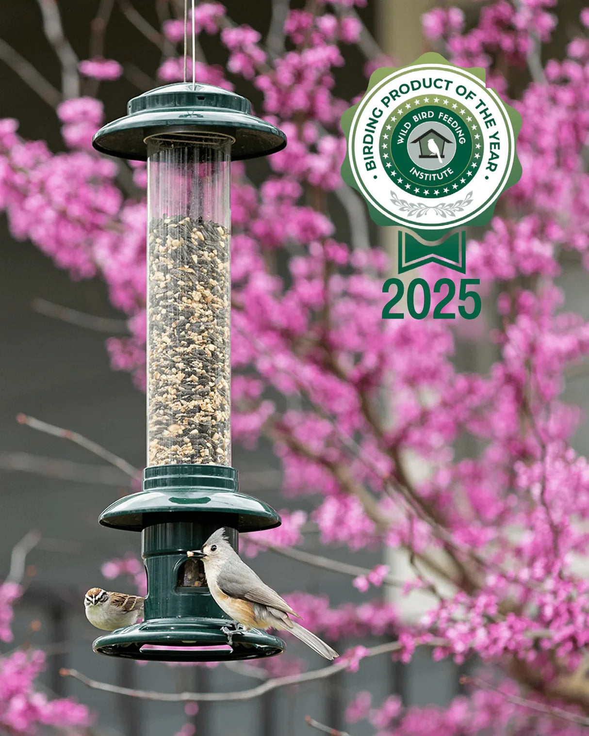 Squirrel Buster Evolution