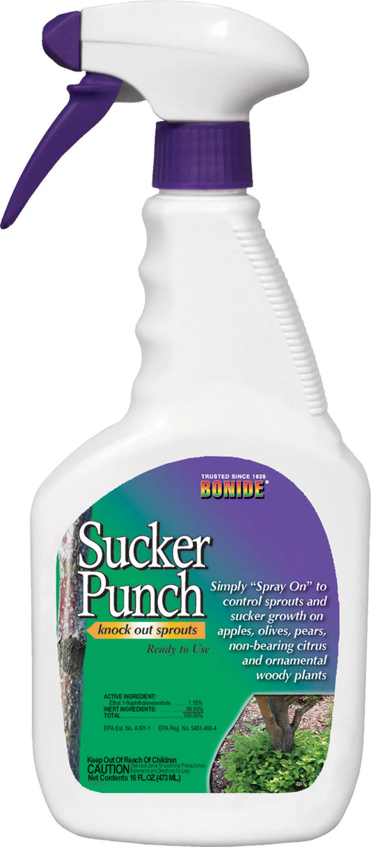 Sucker Punch RTU, 16oz