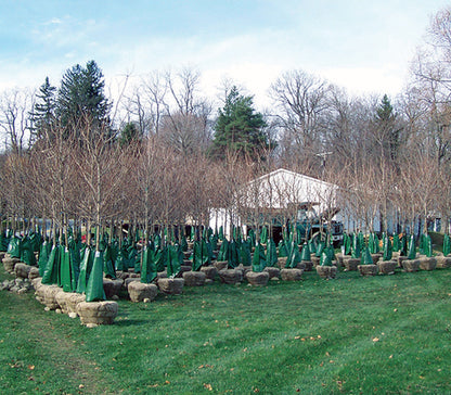 Treegator Original Slow Release Watering Bag