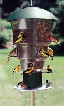 12-Port Electronic Squirrel-Resistant Bird Feeder – 24 lb Capacity