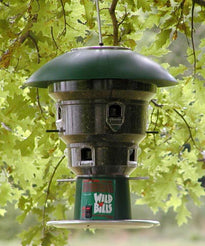 8-Port Electronic Squirrel-Resistant Bird Feeder – 15 lb Capacity