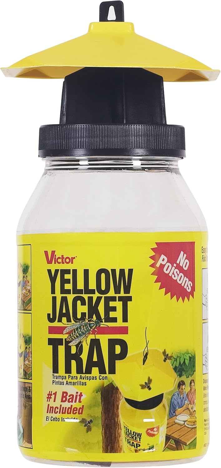 Yellow Jacket & Flying Insect Trap