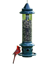 Birding & Wildlife