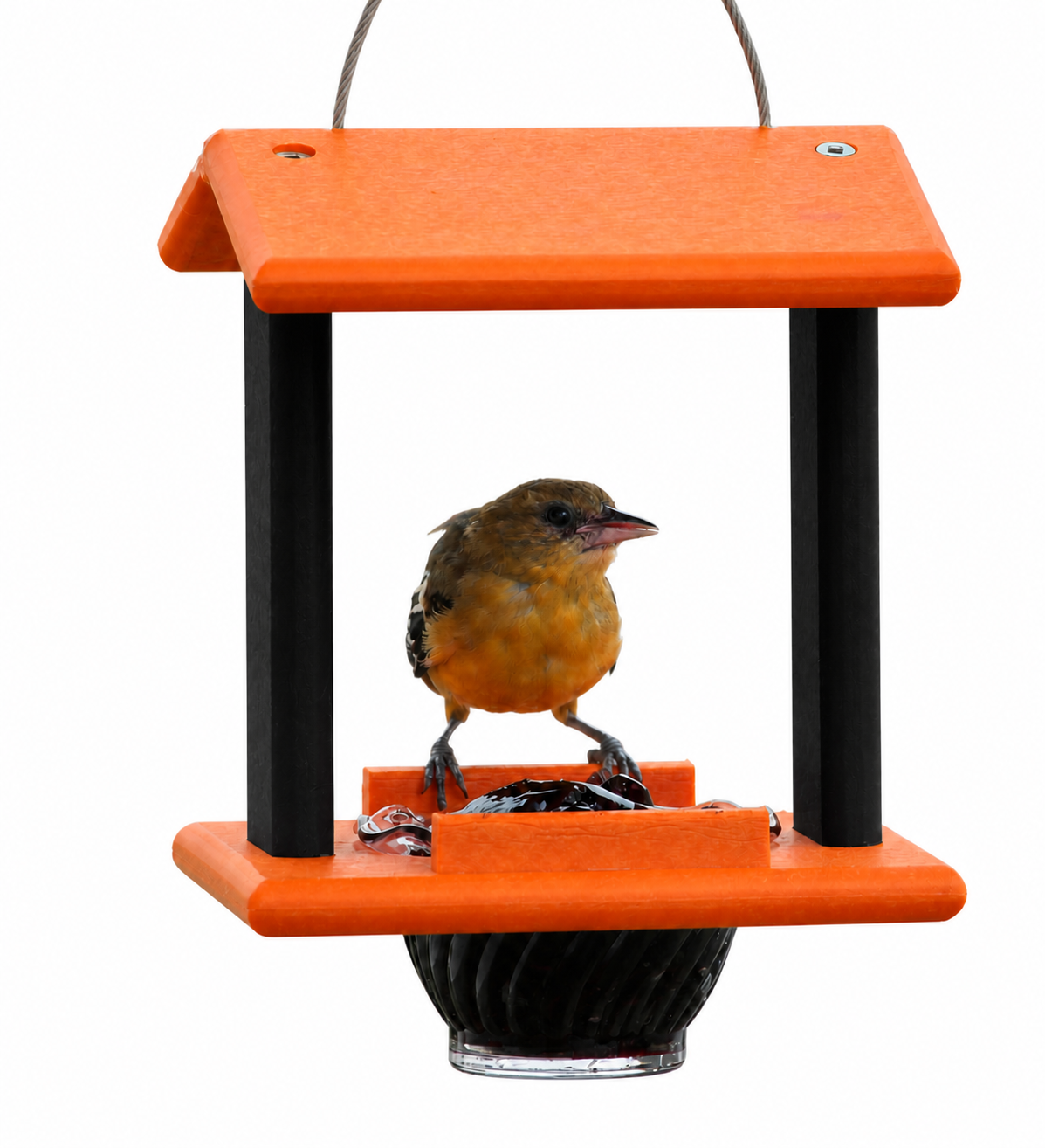 Compact Oriole Jelly Feeder – 2 Colors